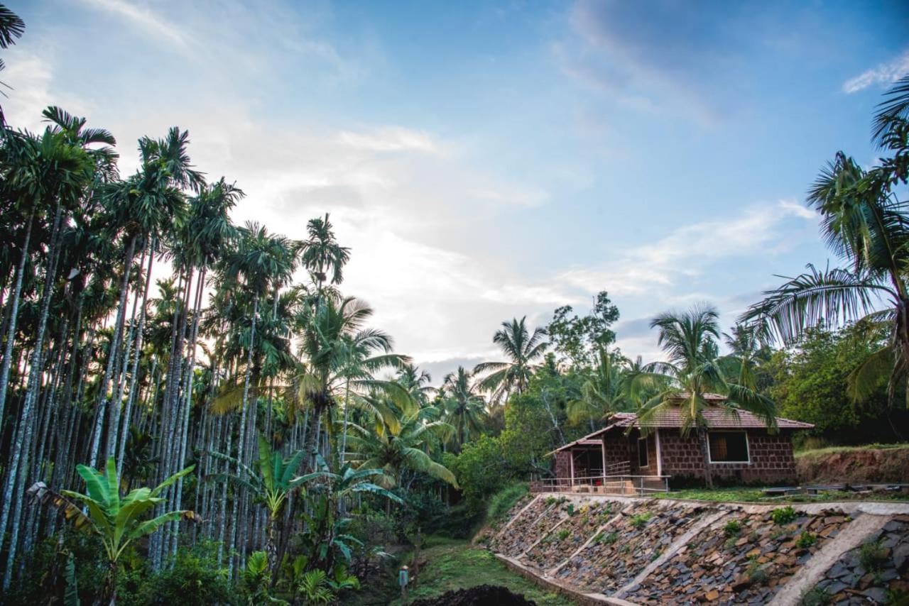 Dandeli Jungle Resort Екстериор снимка